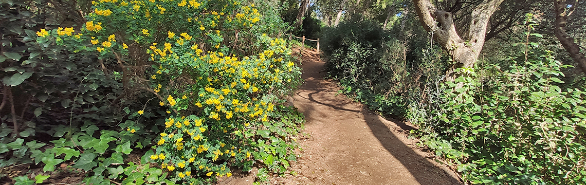 Itinerari de la Biodiversitat