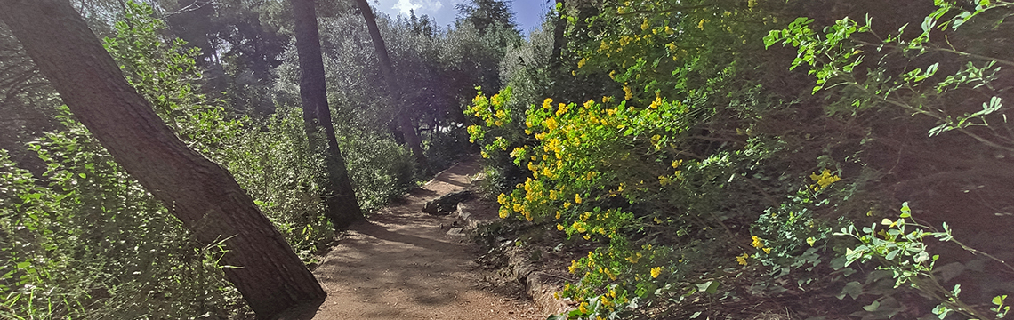 Itinerari de la Biodiversitat