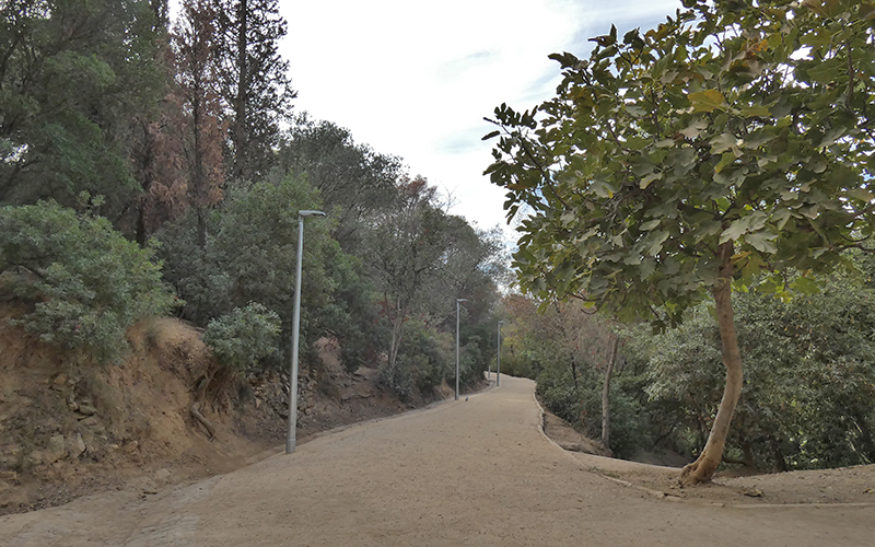 Actualitat enllumenat camí forestal