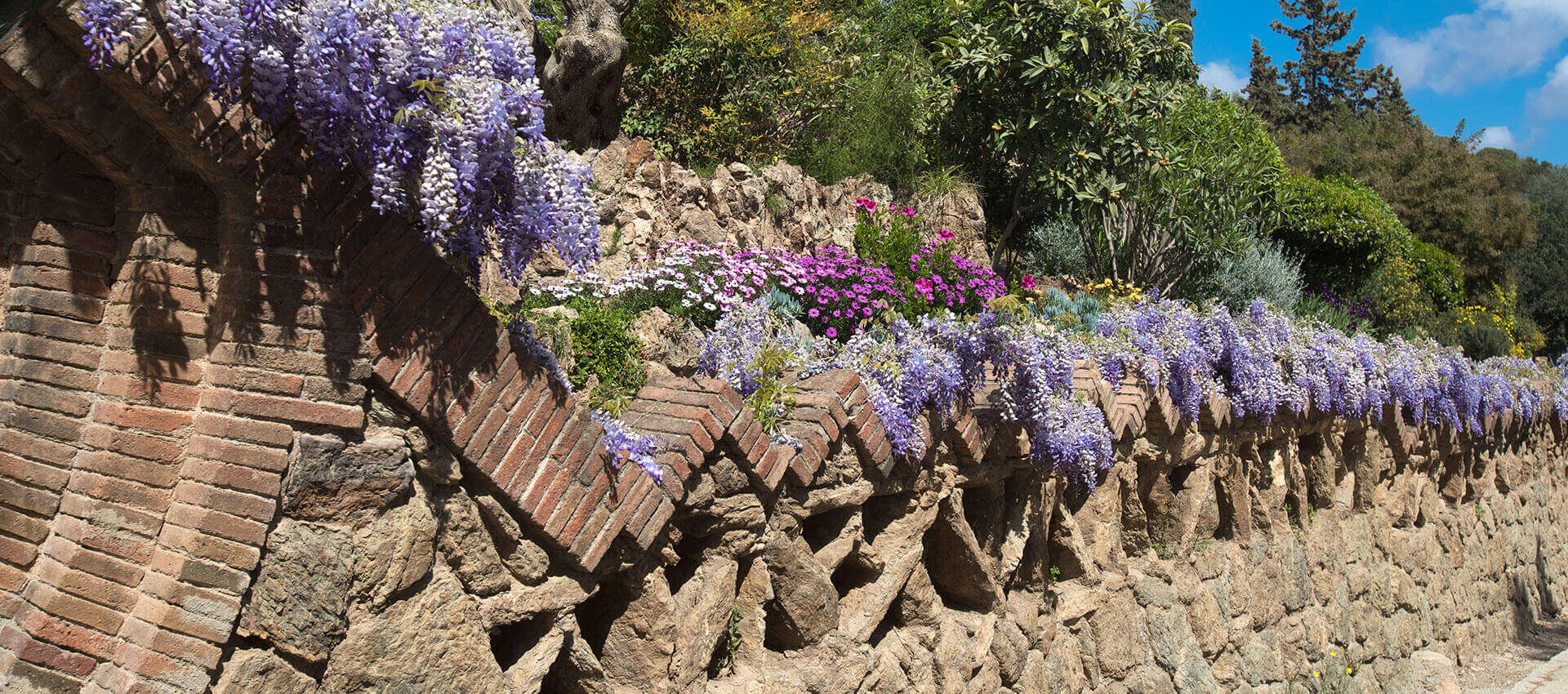 nature et biodiversite